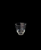 Glass Cup