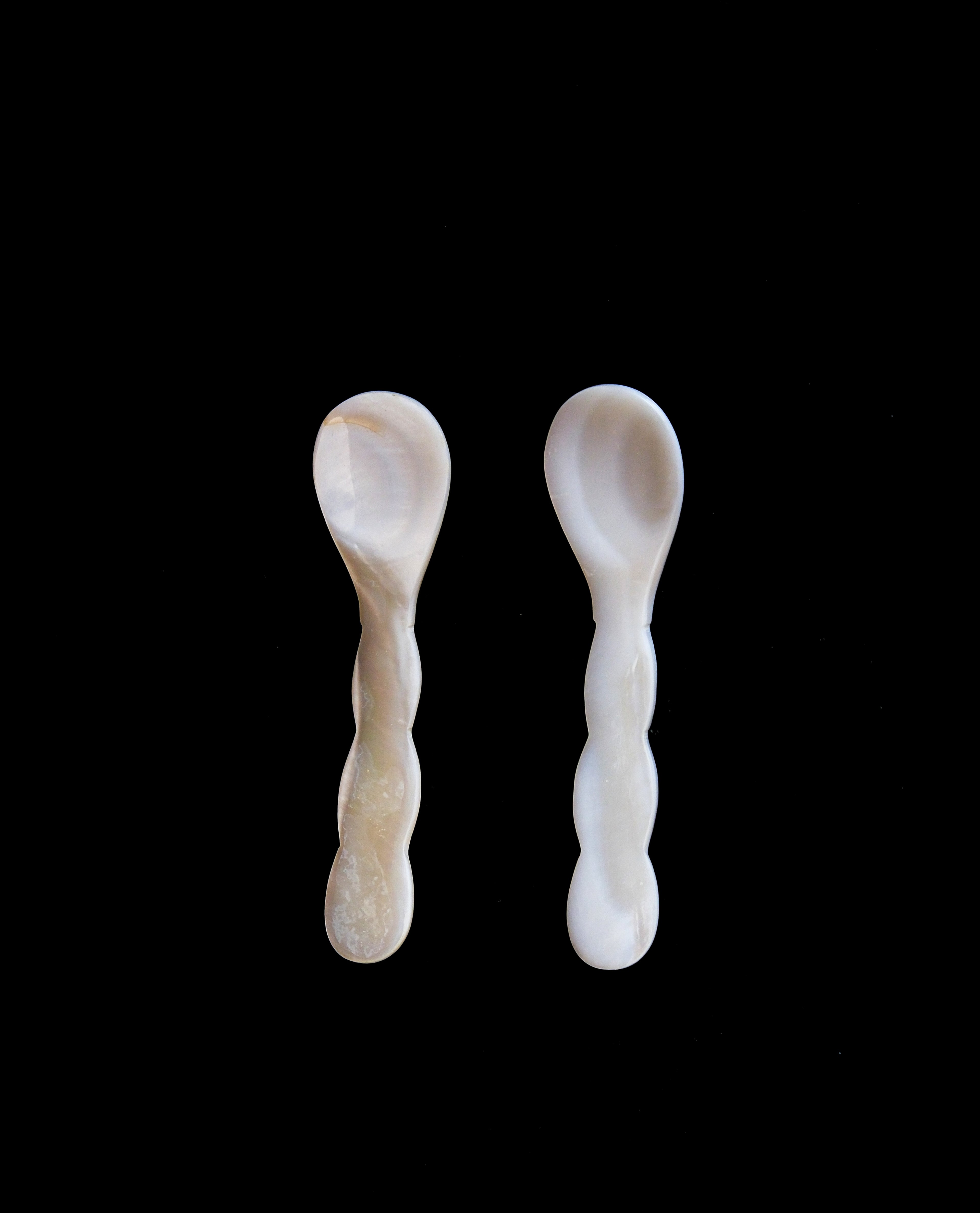 Shell spoon
