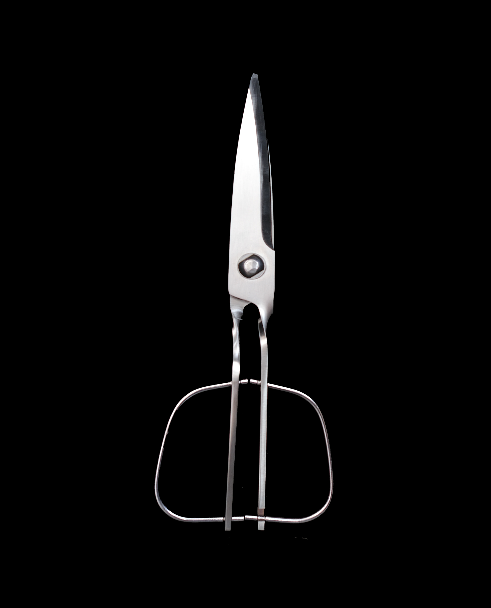 stainless steel scissors
